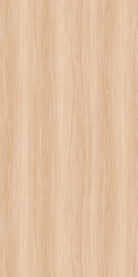 GS918905R